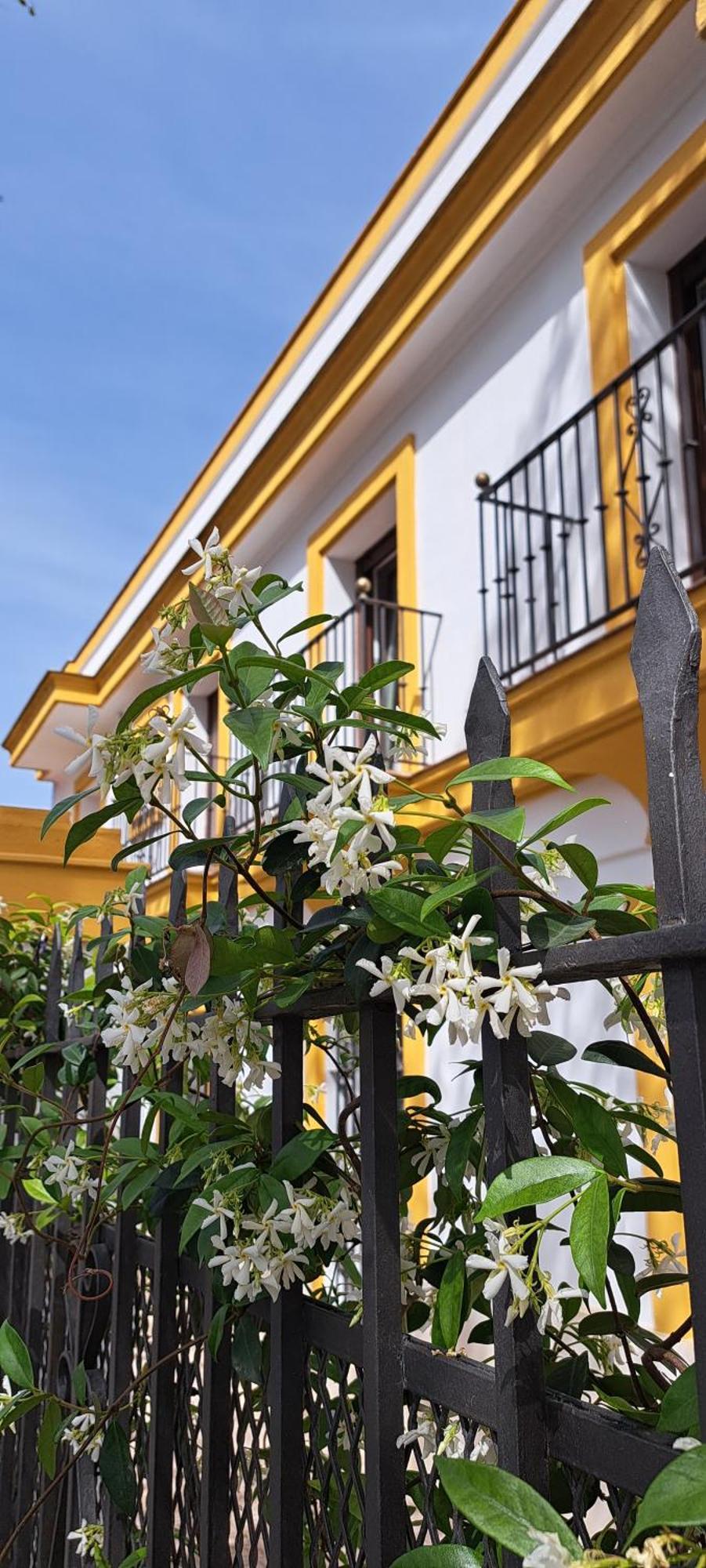 Villa Marcel Jerez de la Frontera Zewnętrze zdjęcie